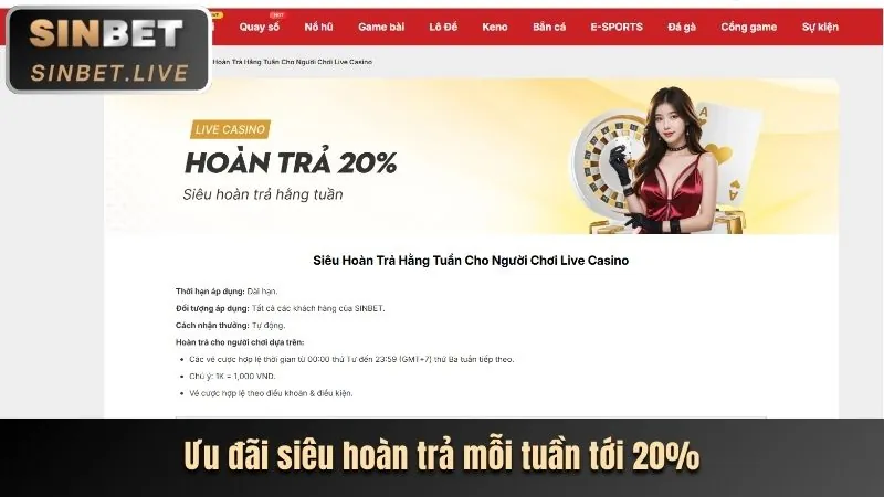Khám phá tính năng và ưu điểm của nền tảng cubet login